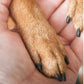🐾 Reszelje kedvence körmeit stresszmentesen – Fa állati körömreszelő cserélhető csiszolóbetétekkel – Utánvétes 🪵
